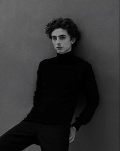 Timothee Chalamet Hairstyle 31