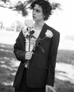 Timothee Chalamet Hairstyle 32