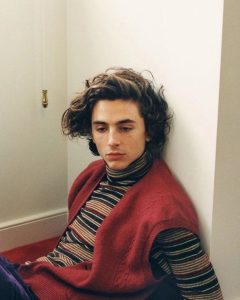 Timothee Chalamet Hairstyle 4