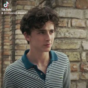 Timothee Chalamet Hairstyle 44