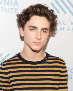 Timothee Chalamet Hairstyle 47
