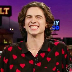 Timothee Chalamet Hairstyle 49