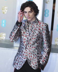 Timothee Chalamet Hairstyle 5
