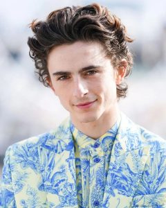 Timothee Chalamet Hairstyle 50