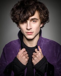 Timothee Chalamet Hairstyle 51