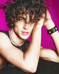 Timothee Chalamet Hairstyle 55