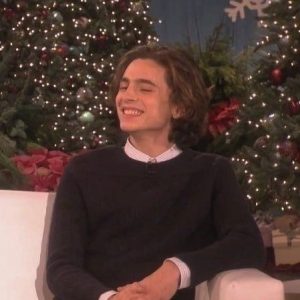 Timothee Chalamet Hairstyle 56