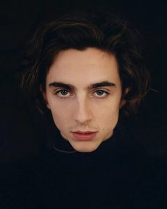Timothee Chalamet Hairstyle 59