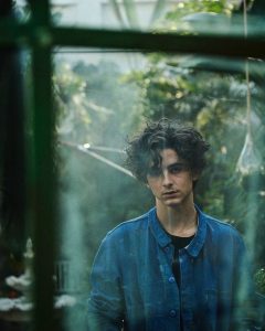 Timothee Chalamet Hairstyle 60