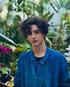 Timothee Chalamet Hairstyle 63
