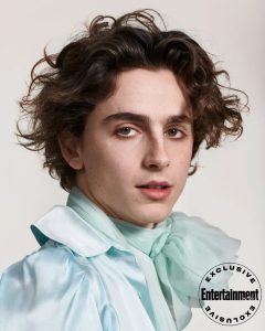 Timothee Chalamet Hairstyle 64