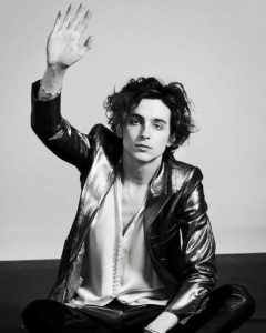 Timothee Chalamet Hairstyle 65