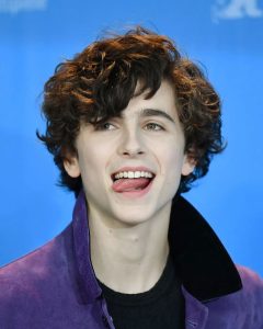 Timothee Chalamet Hairstyle 69