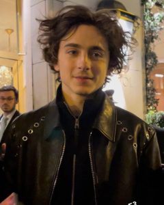 Timothee Chalamet Hairstyle 71