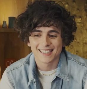 Timothee Chalamet Hairstyle 72