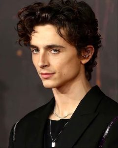 Timothee Chalamet Hairstyle 73