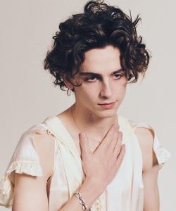 Timothee Chalamet Hairstyle 74