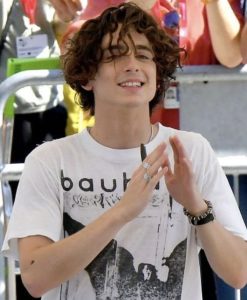 Timothee Chalamet Hairstyle 77