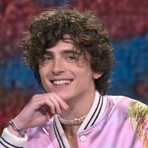 Timothee Chalamet Hairstyle 79