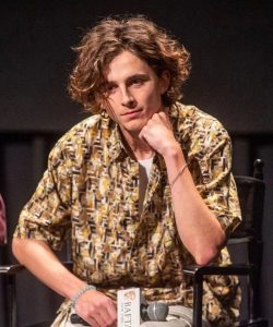 Timothee Chalamet Hairstyle 80