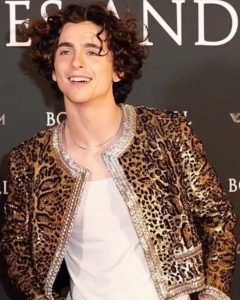 Timothee Chalamet Hairstyle 81