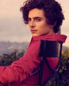 Timothee Chalamet Hairstyle 83