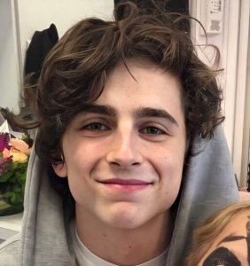 Timothee Chalamet Hairstyle 84