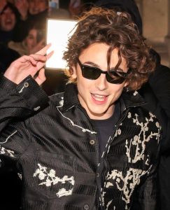 Timothee Chalamet Hairstyle 85