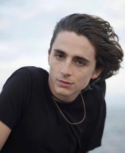 Timothee Chalamet Hairstyle 86