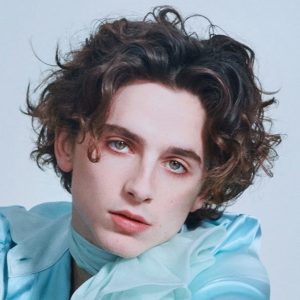 Timothee Chalamet Hairstyle 88