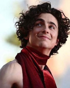 Timothee Chalamet Hairstyle 90
