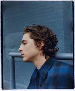 Timothee Chalamet Hairstyle 91