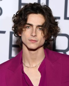 Timothee Chalamet Hairstyle 92