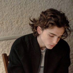 Timothee Chalamet Hairstyle 93