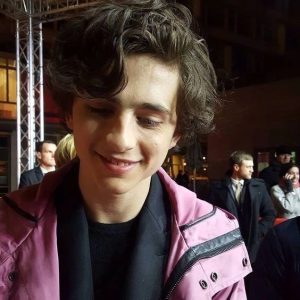 Timothee Chalamet Hairstyle 95