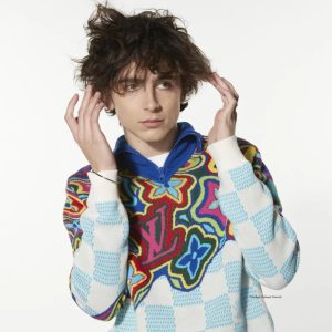 Timothee Chalamet Hairstyle 96