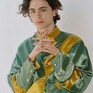 Timothee Chalamet Hairstyle 97