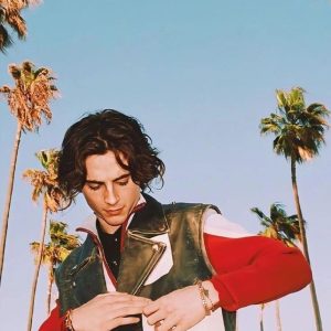 Timothee Chalamet Hairstyle 98