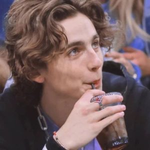 Timothee Chalamet Hairstyle 99