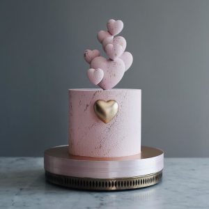 Valentines Day Cake Pops 15
