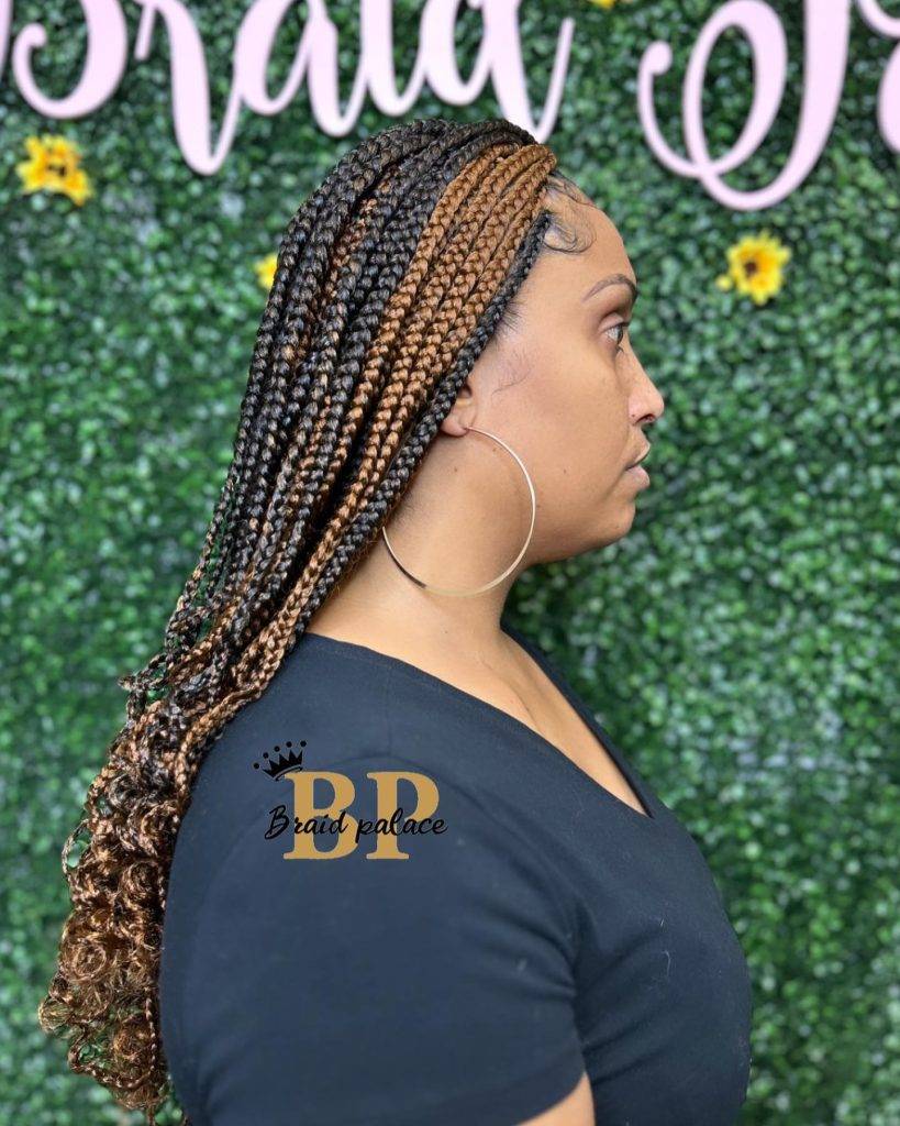 Box Braids Hairstyle 57 braid hairstyles | braid hairstyles for women | braid types Braid Hairstyle for Women