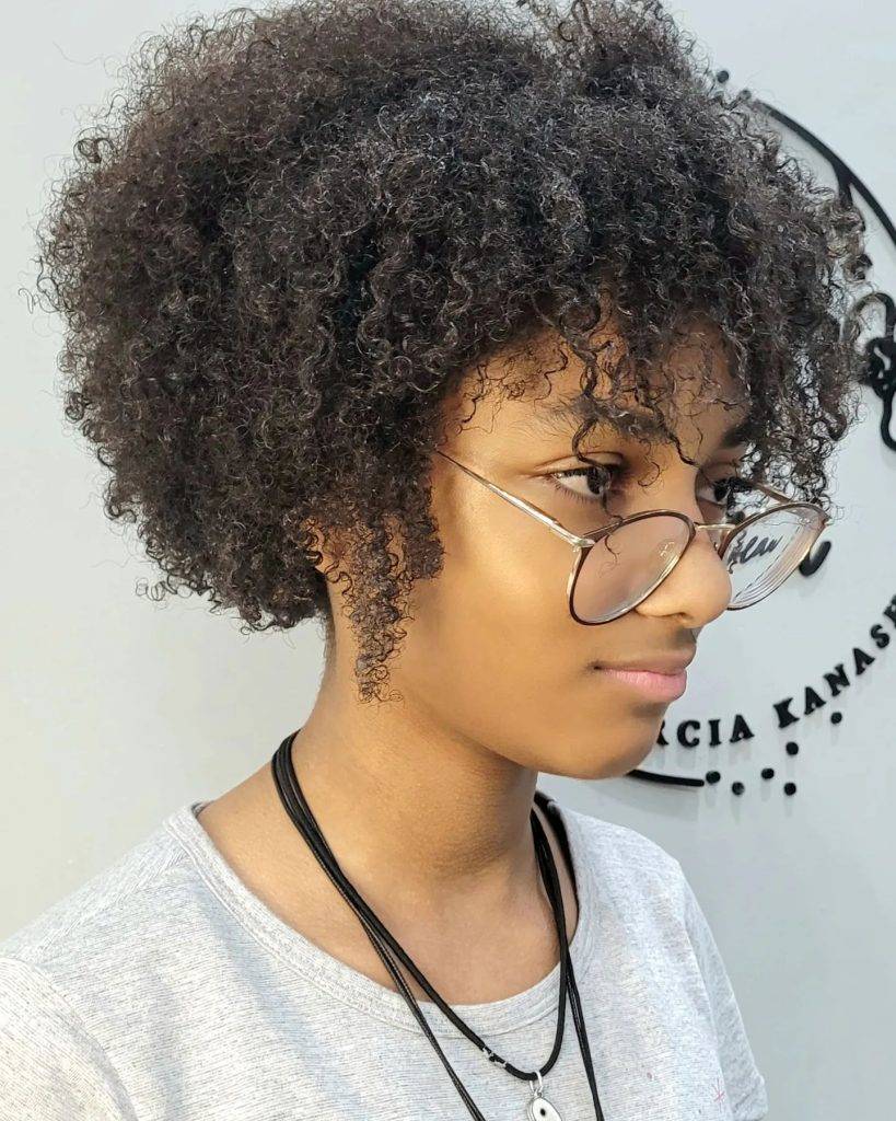 Hairstyles for Afro hair 23 Afro hairstyle for ladies | Best afro hairstyles for ladies | Female Afro hair Hairstyles for Afro Hair