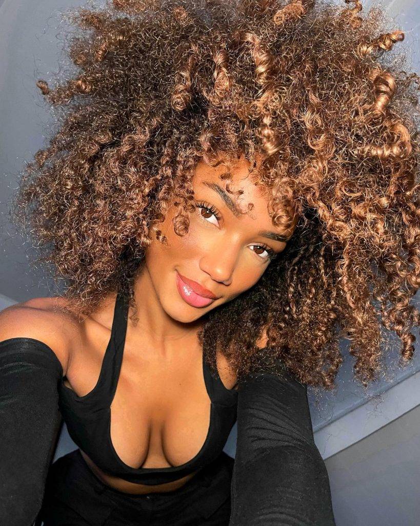Hairstyles for Afro hair 29 Afro hairstyle for ladies | Best afro hairstyles for ladies | Female Afro hair Hairstyles for Afro Hair