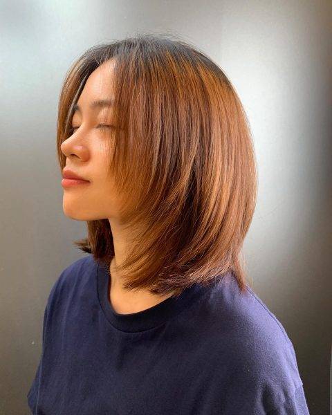 95+ Shoulder Length Hairstyles for Women