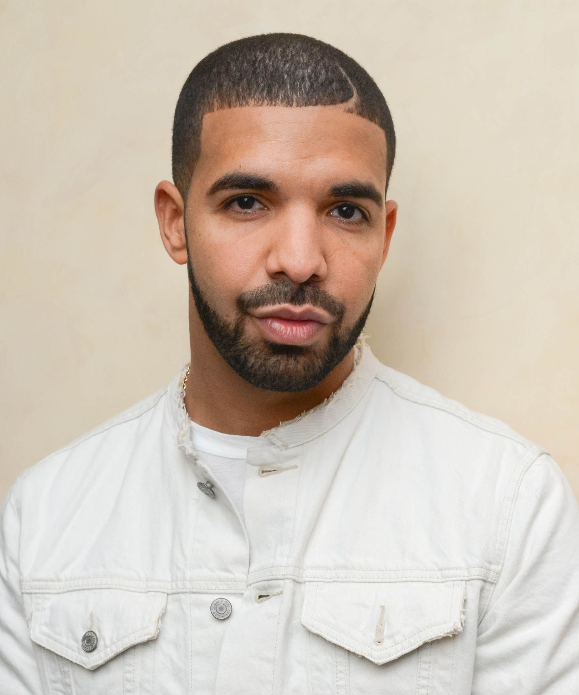 55+ Drake Hairstyles