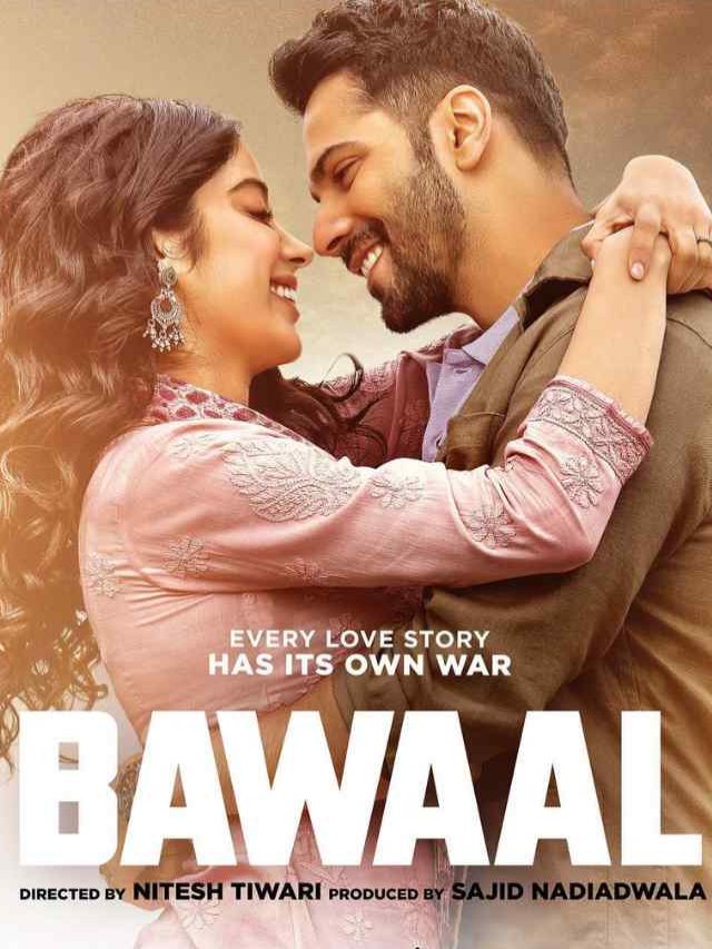 Bawaal Movie (1)