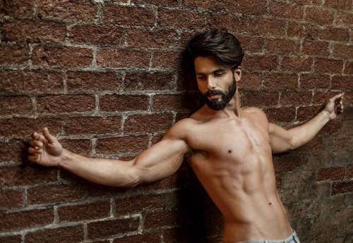 Shahid Kapoor's hair inspiration for men