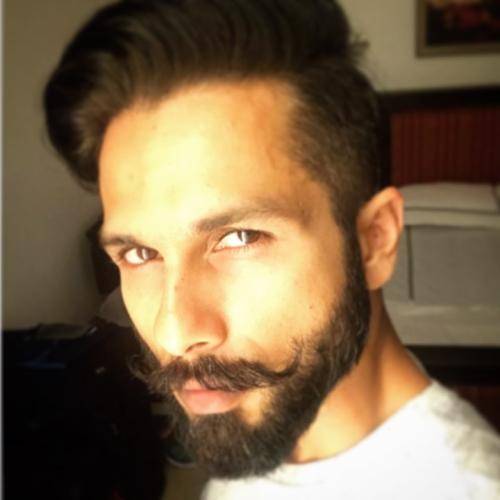 Shahid Kapoor's hair inspiration for men