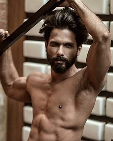 Shahid Kapoor's hair ideas for different hair types