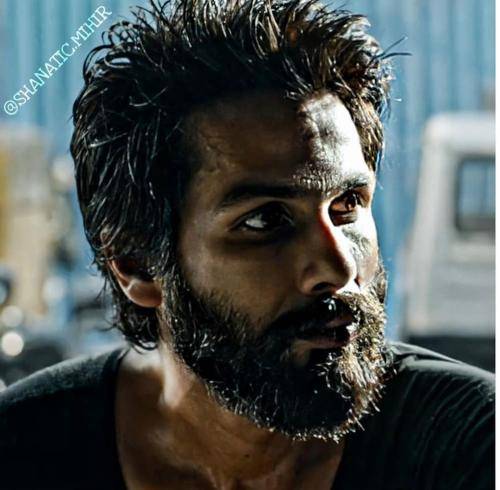 Shahid Kapoor's hairstyles in Haider